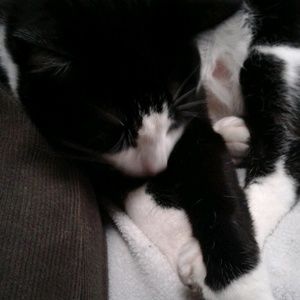 Meet your Posher, Marsha